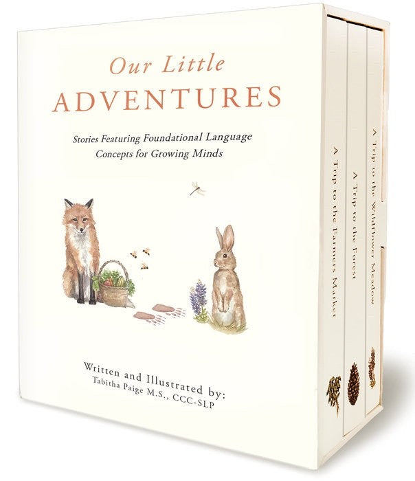 OUR LITTLE ADVENTURES : FOUNDATIONAL  LANGUAGE FOR GROWING MINDS - SEALED