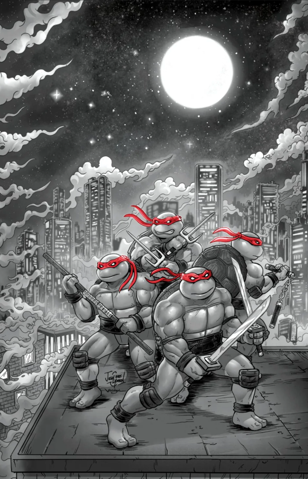 TEENAGE MUTANT NINJA TURTLES JOURNEYS #1 VIRGIN/TRADE EXCLUSIVE - LYMAN LTD500